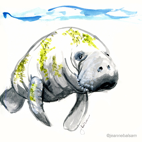 Home-Art-Manatee
